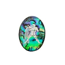 Pingente Signo Aquário de Resina com Abalone 30x21mm Níquel 1 unidade